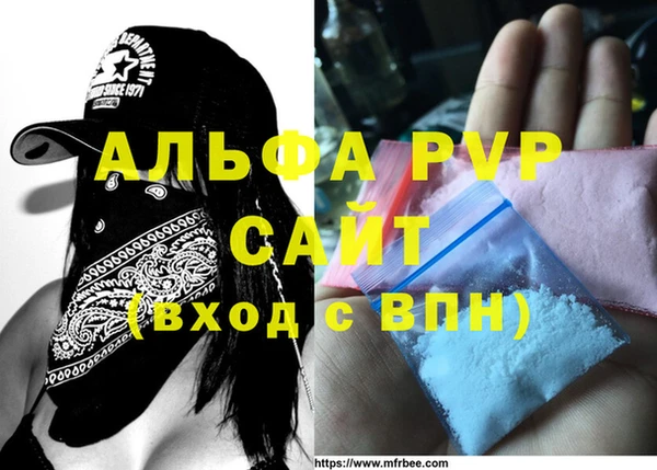 индика Гусев