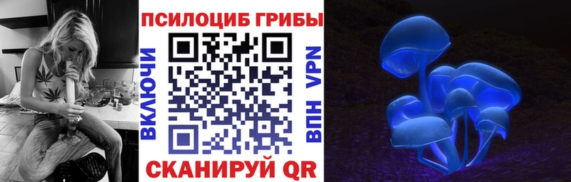 мориарти как зайти  Циолковский  Галлюциногенные грибы MAGIC MUSHROOMS 